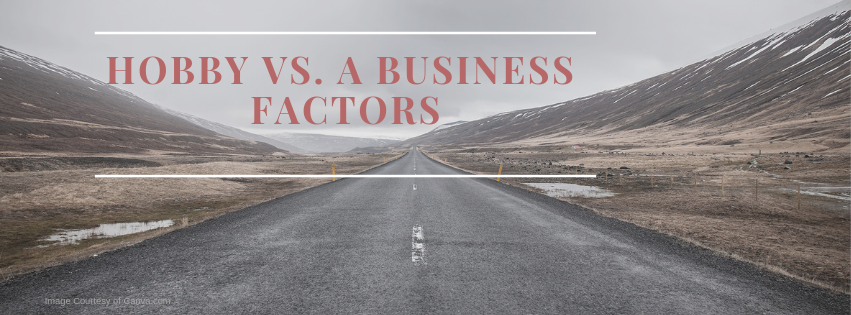 Hobby vs. Business Factors