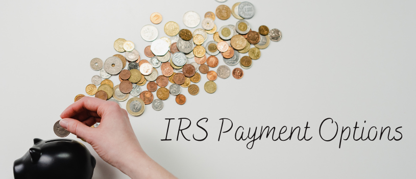 IRS Payment Options