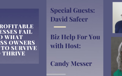 Why Profitable Businesses Fail & What Business Owners Can Do to Survive & Thrive with David Safeer