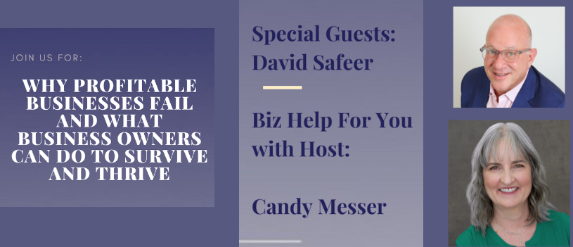 Why Profitable Businesses Fail & What Business Owners Can Do to Survive & Thrive with David Safeer
