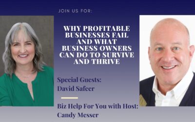 Why Profitable Businesses Fail & What Business Owners Can Do to Survive & Thrive with David Safeer