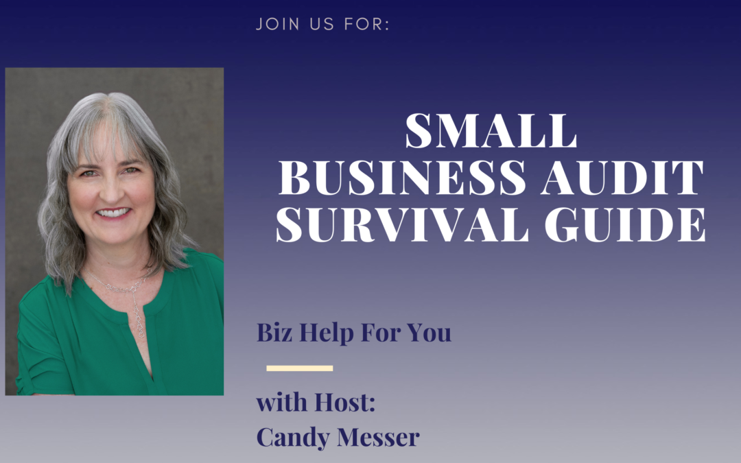 Small Business Audit Survival Guide with Candy Messer