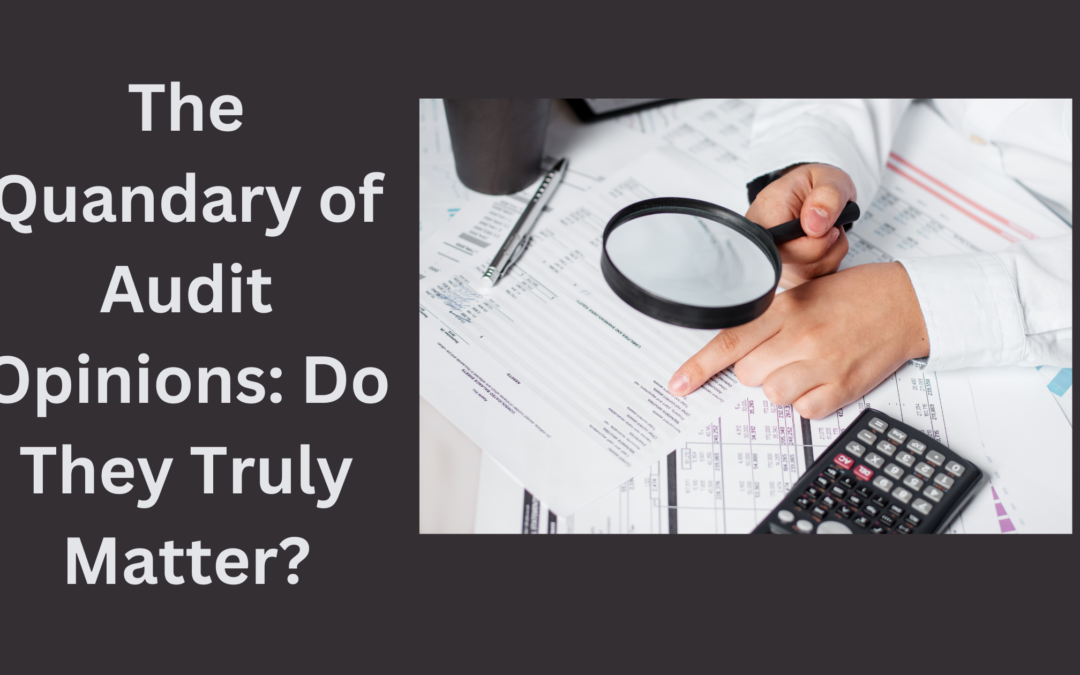 The Quandary of Audit Opinions: Do They Truly Matter?