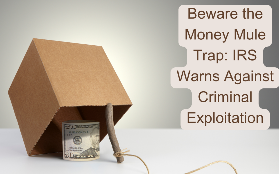 Beware the Money Mule Trap: IRS Warns Against Criminal Exploitation